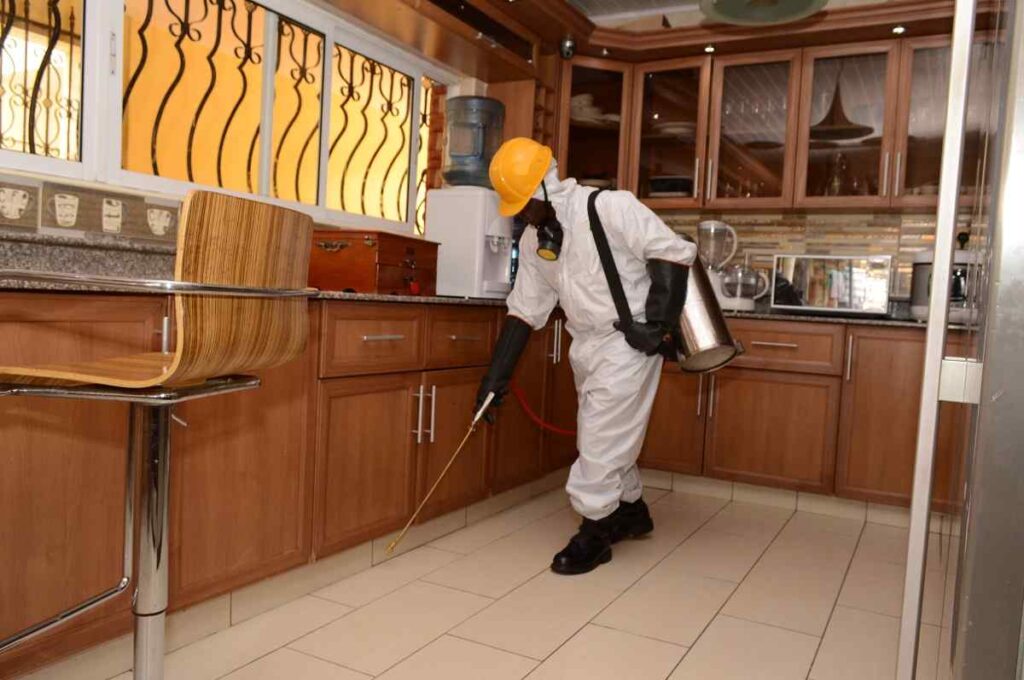 Bedbug Control and Fumigation Services in Nairobi