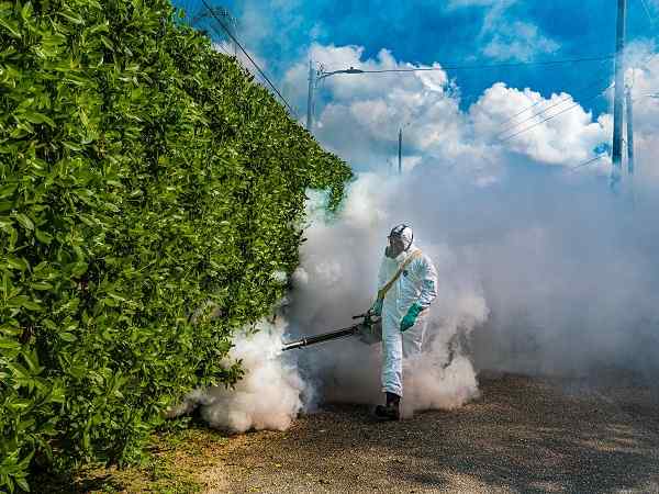 mosquito control servics in Nairobi Kenya