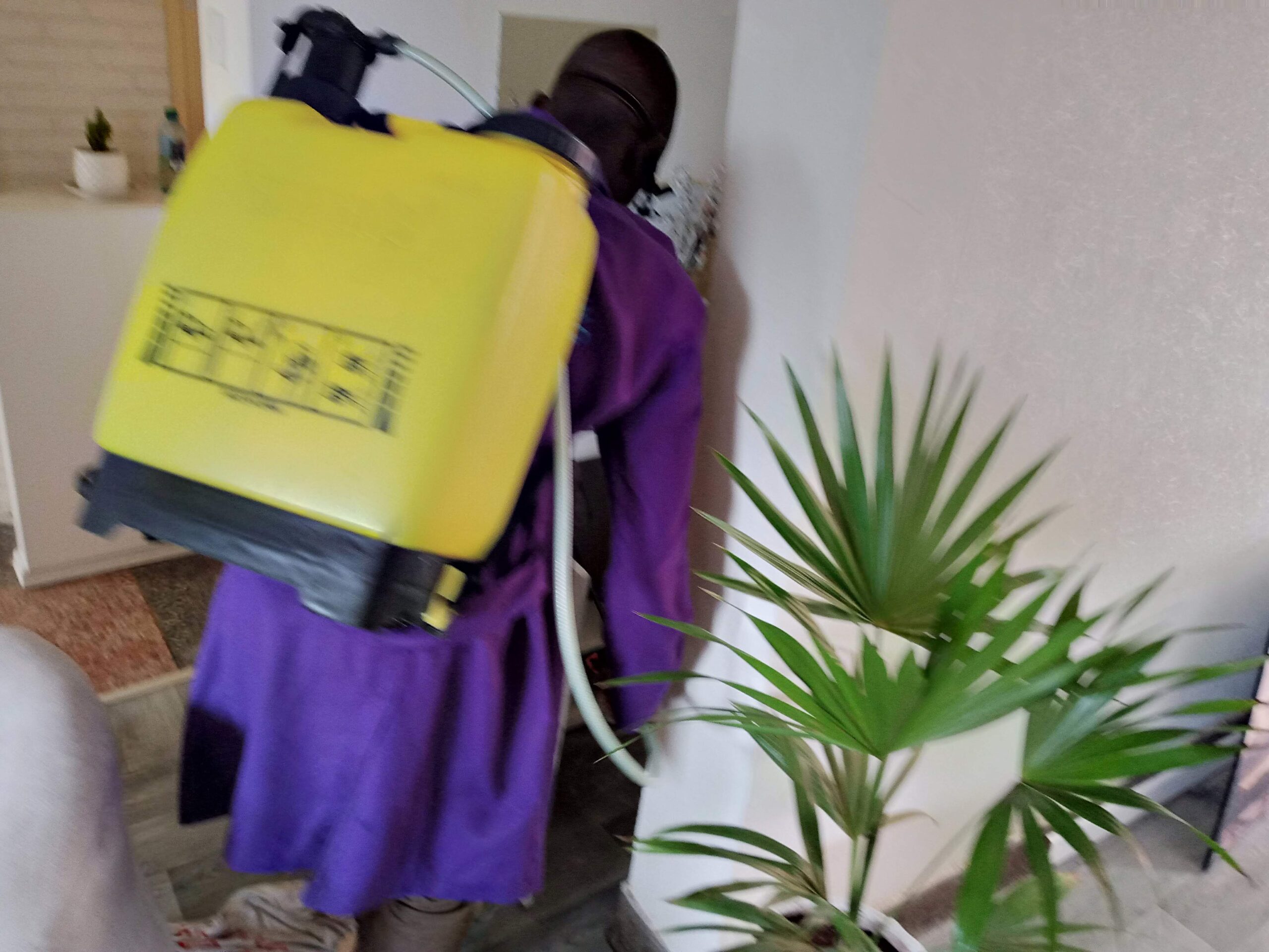 How to Control Termites 0702813469