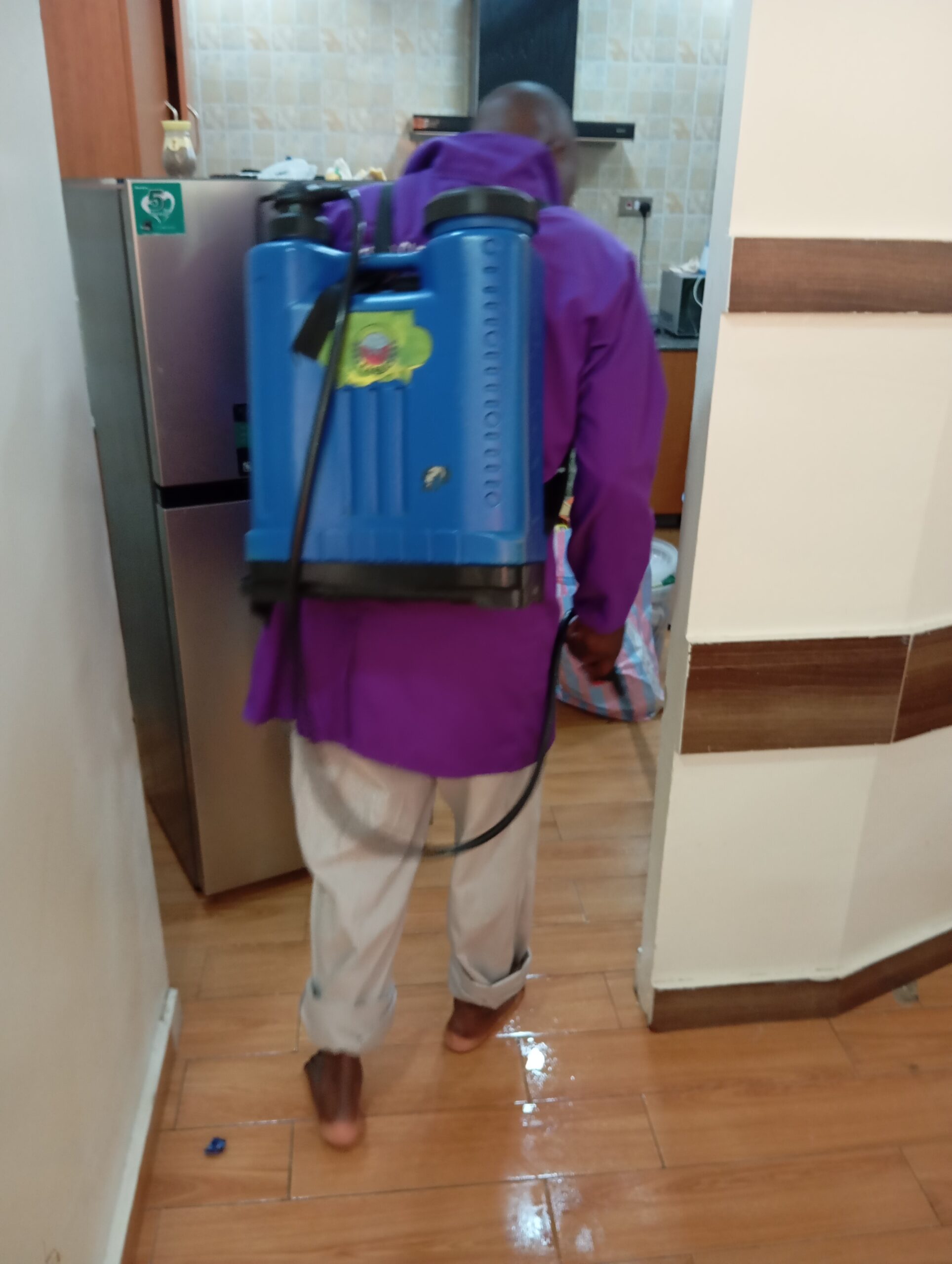 How to Control Bed Bugs In Nairobi